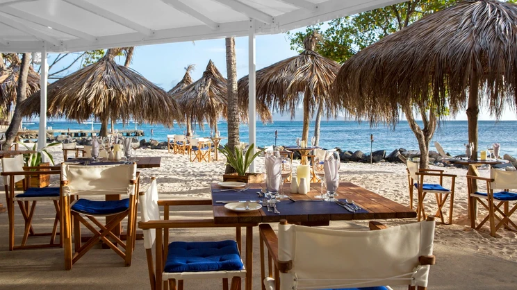 Palm Island Resort & Spa